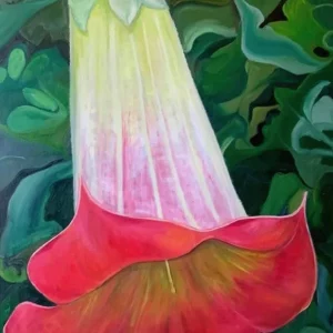 Angels Trumpet
